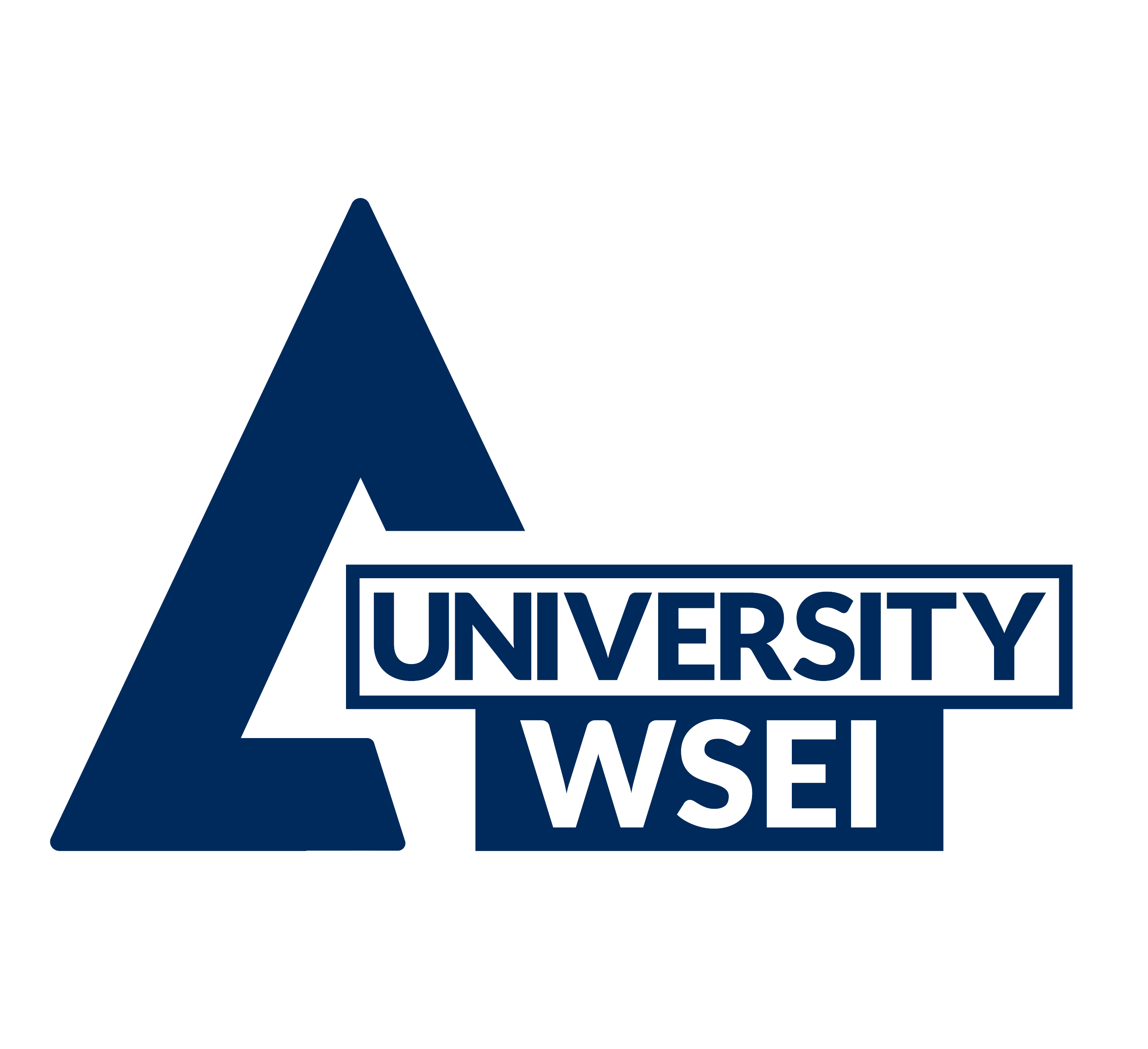 University WSEI Logo